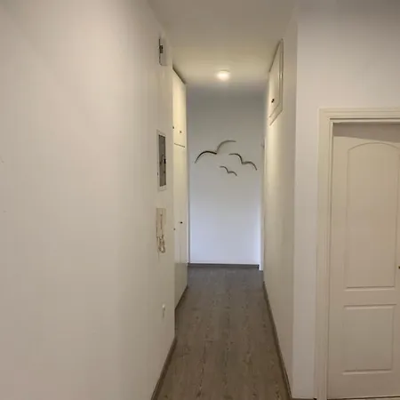 Apartment Mv *